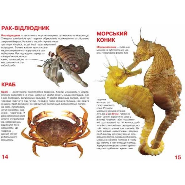 Фото - Crystal Book Велика книжка. Мешканці морів та океанів. (9786177352593)